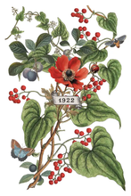 Load image into Gallery viewer, Iron Orchid Design Transfer Clementine