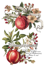 Load image into Gallery viewer, Iron Orchid Design Transfer Clementine