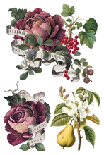 Load image into Gallery viewer, Iron Orchid Design Transfer Clementine