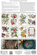 Load image into Gallery viewer, Iron Orchid Design Transfer Clementine