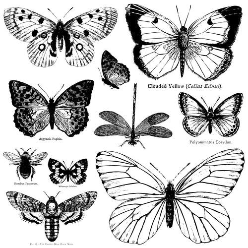 Butterflies Décor Stamp