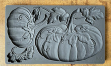 Load image into Gallery viewer, Hello Pumpkin 6x10 IOD Mould