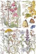 Load image into Gallery viewer, Primrose Isle IOD Transfer | 8 Pages | 8” x 12” | Full Color