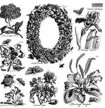 Load image into Gallery viewer, Nature’s Etchings IOD Stamp | 12” x 12” | Double Sheet with Masks