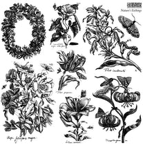 Load image into Gallery viewer, Nature’s Etchings IOD Stamp | 12” x 12” | Double Sheet with Masks