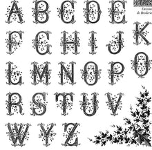 Load image into Gallery viewer, Dessins de Broderie IOD Stamp | 6” x 6” | Four Sheet Boxed Set