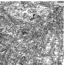 Load image into Gallery viewer, Orléans IOD Stamp | 12” x 12” | Single Sheet