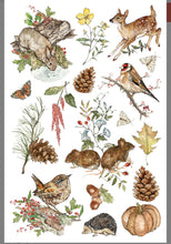 Load image into Gallery viewer, The Bramblewood Diaries Transfer | 8 Pages | 8” x 12” | Full Color