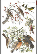 Load image into Gallery viewer, Winter's Calling Transfer | 8 Pages | 8” x 12” | Full Color