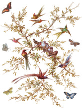 Load image into Gallery viewer, Madeleine IOD Transfer 12x16 Pad™