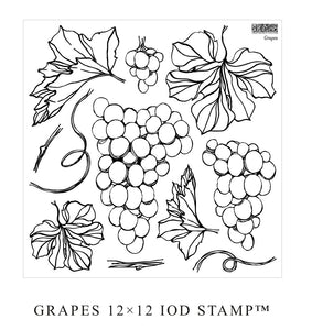 Grapes 12x12 IOD Stamp