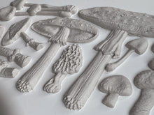 Load image into Gallery viewer, Toad Stool Mould