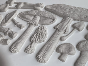 Toad Stool Mould