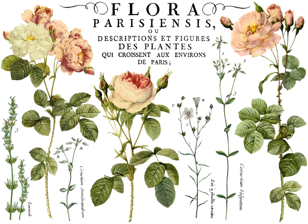 Flora Parisiensis Décor Transfer